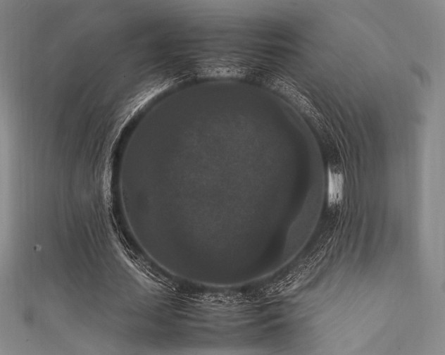 X0000111860627200907231452