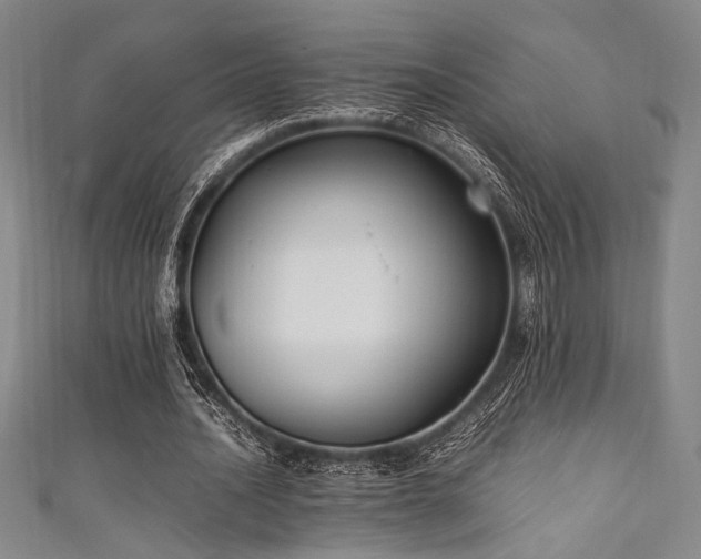 X0000111860628200907231452