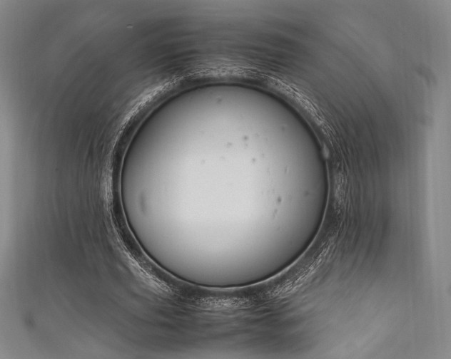 X0000111860629200907231452