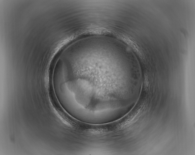 X0000111860630200907231452