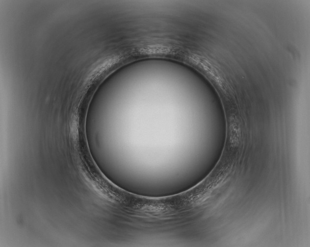X0000111860631200907231453