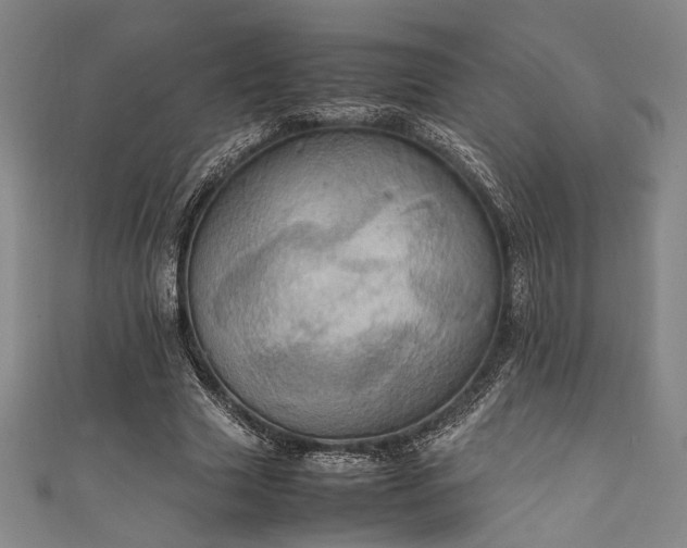 X0000111860633200907231453