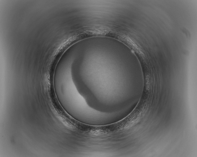 X0000111860634200907231453