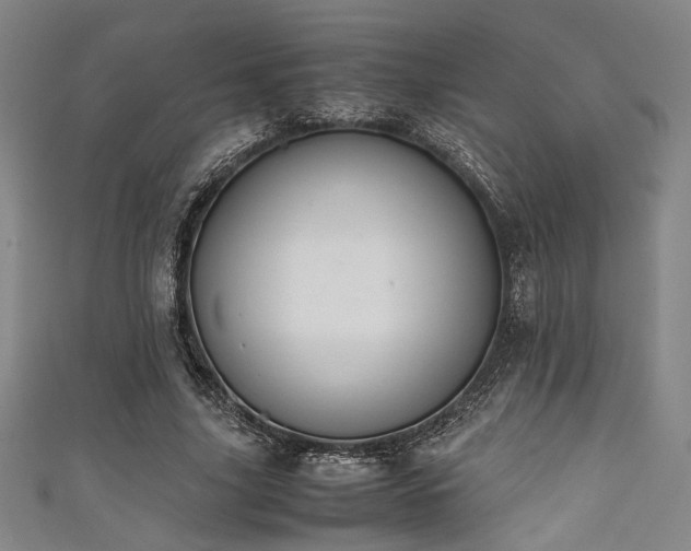 X0000111860635200907231453