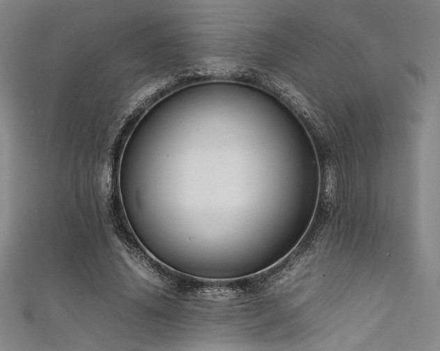 X0000111860636200907231453