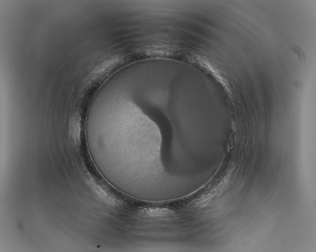 X0000111860637200907231453