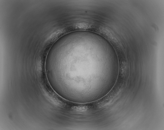 X0000111860639200907231453