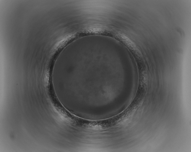 X0000111860640200907231453