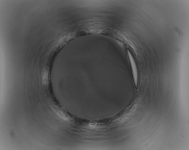 X0000111860641200907231453