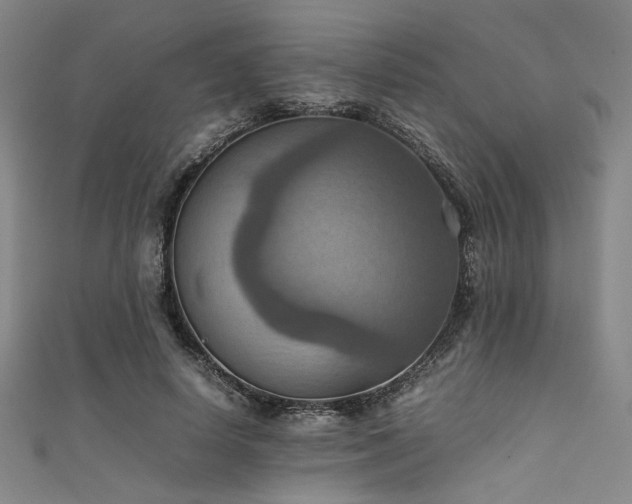 X0000111860642200907231453