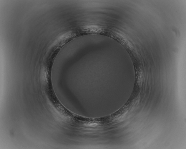 X0000111860643200907231453