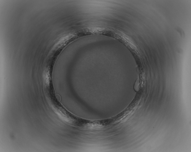 X0000111860644200907231453