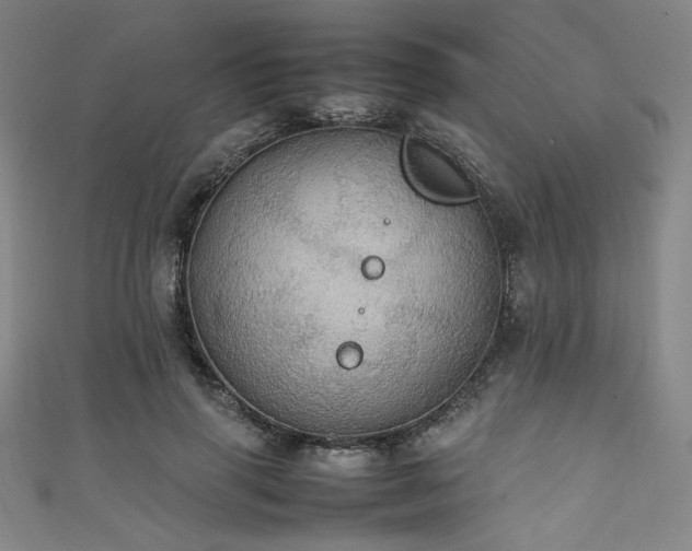 X0000111860645200907231453