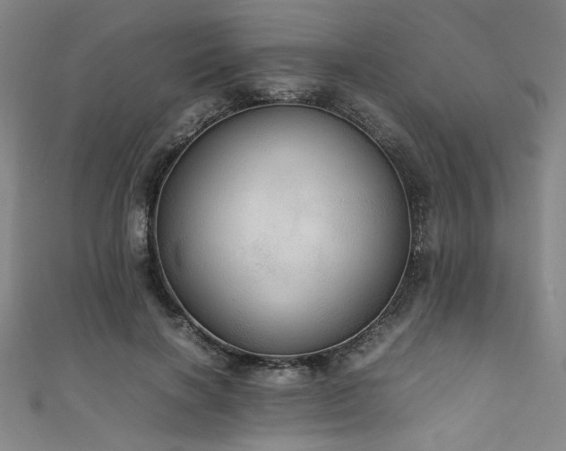 X0000111860646200907231453