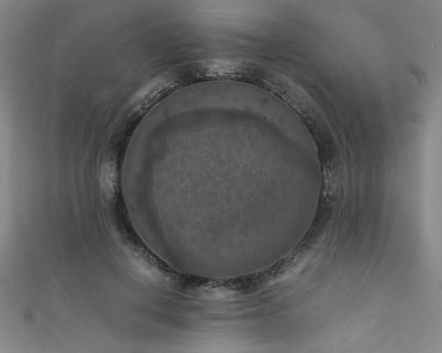 X0000111860648200907231453