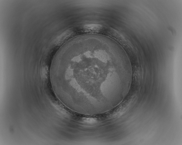 X0000111860649200907231453