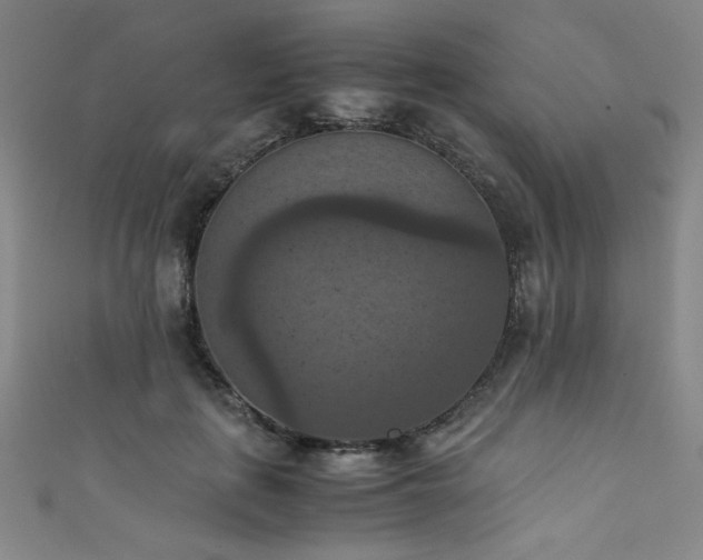 X0000111860651200907231453