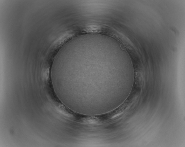 X0000111860652200907231453