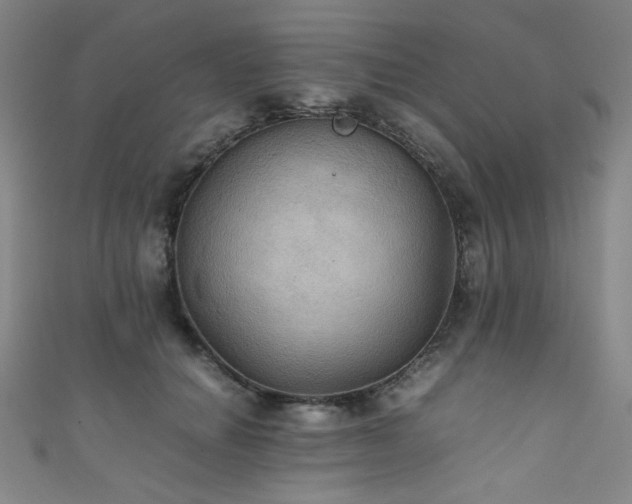 X0000111860654200907231453