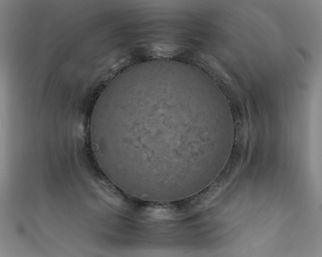 X0000111860655200907231453