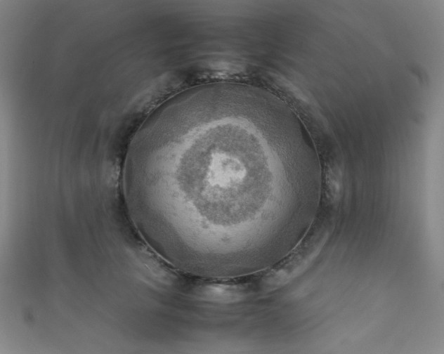 X0000111860657200907231453