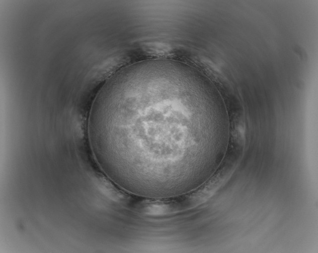 X0000111860658200907231453