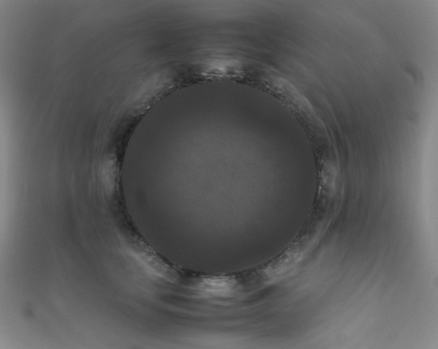 X0000111860659200907231453