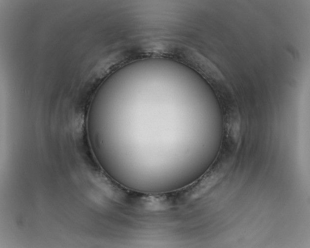X0000111860660200907231453
