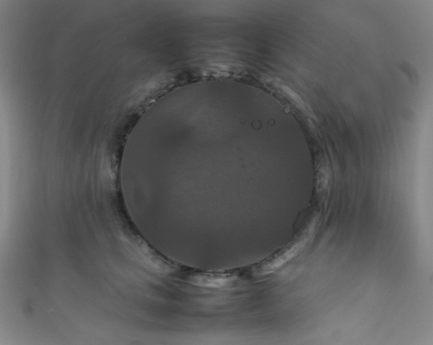 X0000111860661200907231453