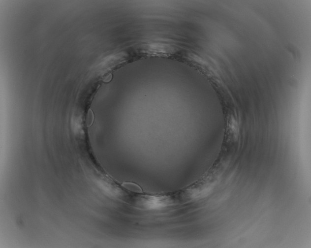X0000111860663200907231453