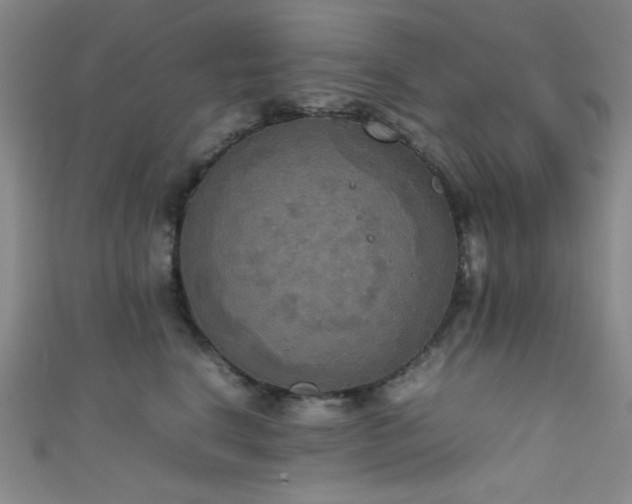 X0000111860664200907231453