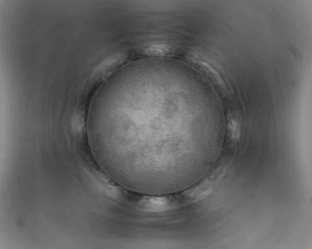 X0000111860665200907231453