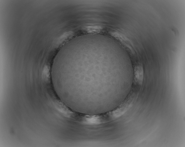 X0000111860667200907231453