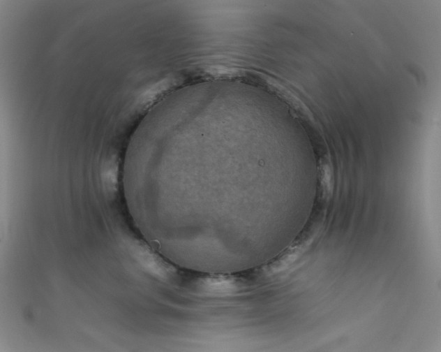 X0000111860668200907231453