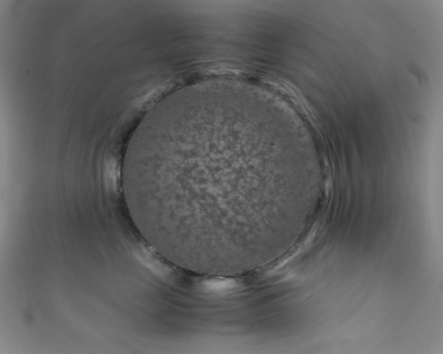 X0000111860669200907231453