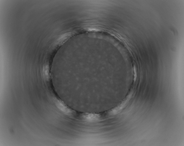 X0000111860670200907231453