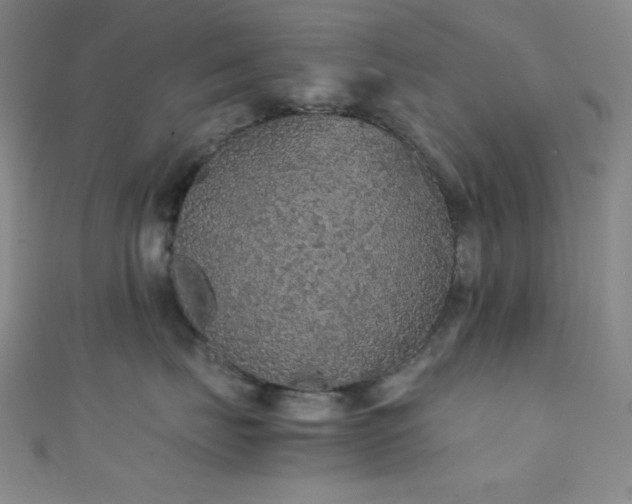 X0000111860671200907231453