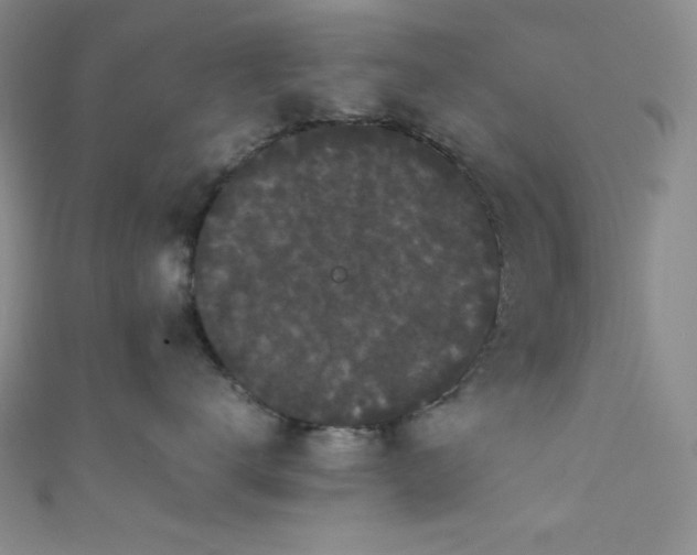 X0000111860672200907231453