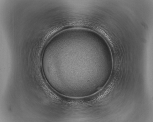 X0000111860673200907231452