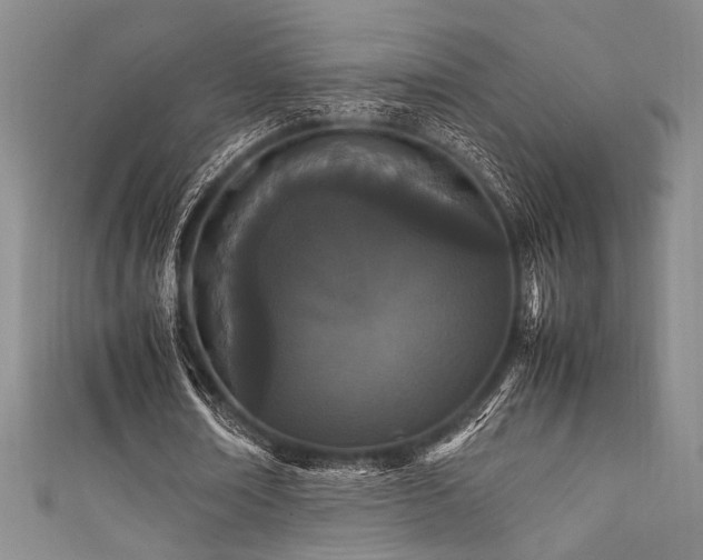 X0000111860674200907231452