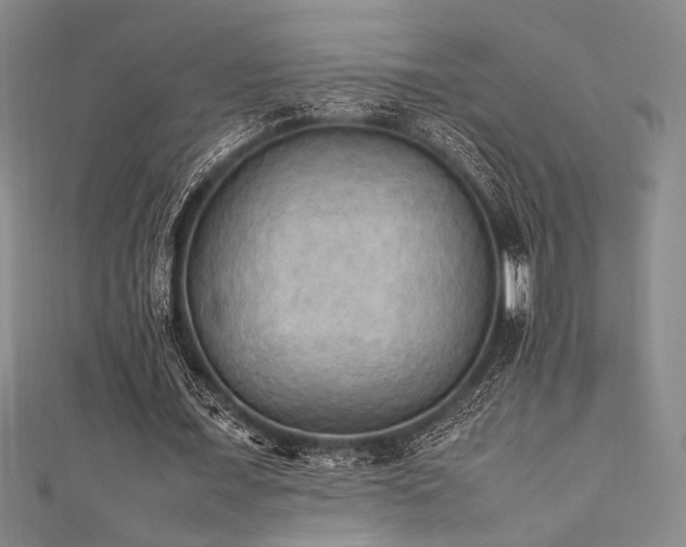 X0000111860675200907231452
