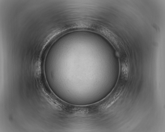 X0000111860676200907231452