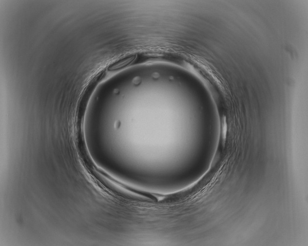 X0000111860677200907231452