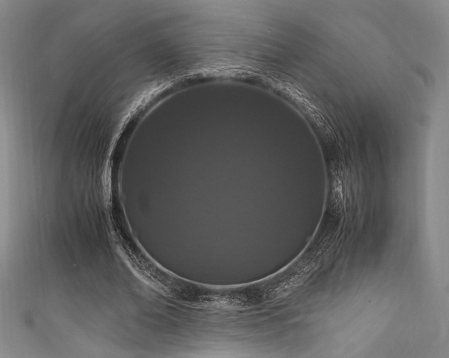 X0000111860678200907231452