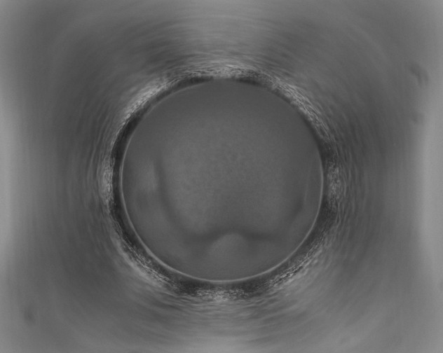 X0000111860679200907231452