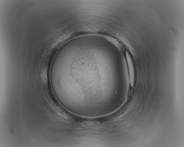 X0000111860681200907231452