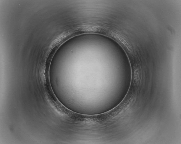 X0000111860682200907231452