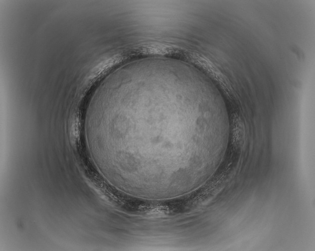 X0000111860683200907231452
