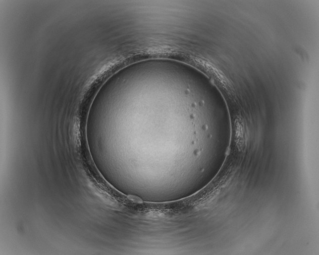 X0000111860684200907231452