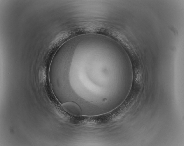 X0000111860685200907231452